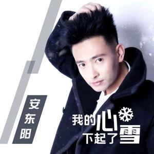 安东阳《我的心下起了雪(DJ版伴奏)》[MP3_LRC]