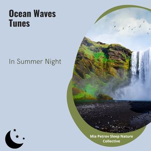 Mia Petrov Sleep Nature Collective《Endless Summer Nights》[MP3_LRC]