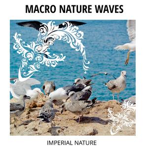 Huckleberry Waves 3D Nature Music - Ripple Noise In Salty Waves