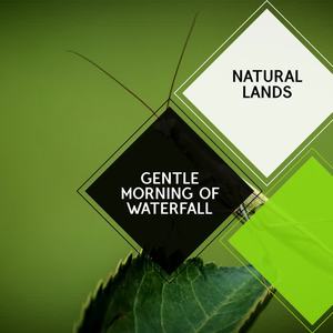 Nature Rejuvenation Music Club - Loathsome Toads