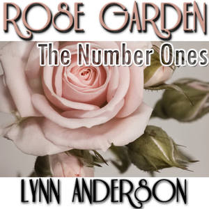 LYNN ANDERSON《The Devil Went Down To Georgia》[MP3_LRC]