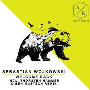 sebastian wojkowski《Welcome Back》[MP3_LRC]