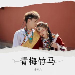 龙仙儿&夜星晨《青梅竹马(伴奏)》[MP3_LRC]