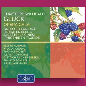 Munich Radio Orchestra&Lamberto Gardelli&Chor des Bayerischen Rundfunks《Iphigénie en Tauride, Wq. 46 (Excerpts): Les Dieux longtemps en courroux》[MP3_LRC]