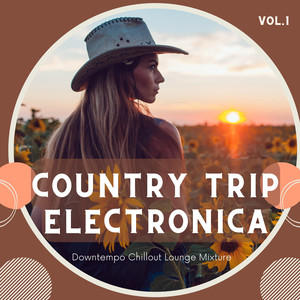 Country Sweepers - When I See You Again
