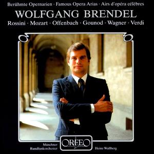 Wolfgang Brendel&Munich Radio Orchestra&Heinz Wallberg《Falstaff: Falstaff, Act II: E sogno? o realita?》[MP3_LRC]