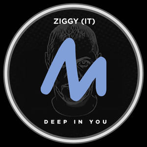 Ziggy (IT)《Taking the Metro(Extended Mix)》[MP3_LRC]