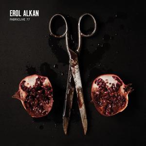 Erol Alkan《A Hold On Love》[MP3_LRC]