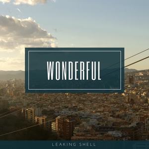 Leaking Shell - Let Me