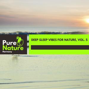 Fairy Drizzle Nature Music - Snow and Light Rain