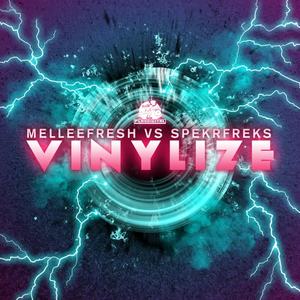 Melleefresh&Spekrfreks《Vinylize(Original Mix)》[MP3_LRC]