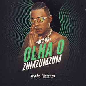 MC DR&Richardson Freire Do Nascimento《Olha o Zumzumzum》[MP3_LRC]