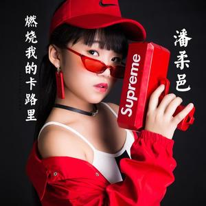 潘柔邑《燃烧我的卡路里(DJ版)》[MP3_LRC]