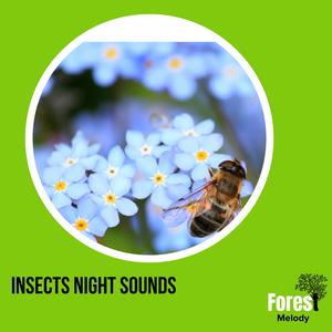 Abella Rossi Nature Musica《Rare Insects》[MP3_LRC]