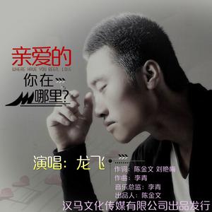 龙飞《亲爱的你在哪里》[MP3_LRC]