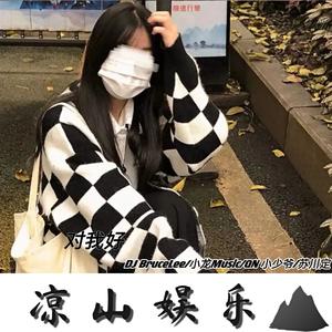 DJ BruceLee&小龙Music&QN 小少爷&苏川定 - 走天涯 (DJ弹鼓版)