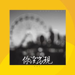 乔星儿《你没出现（DJheap九天版）(伴奏)》[MP3_LRC]