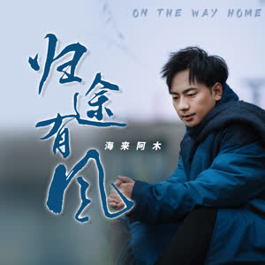 海来阿木 - 归途有风