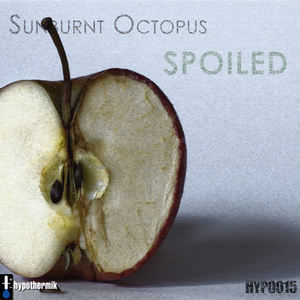 Sunburnt Octopus《Before the Storm》[MP3_LRC]