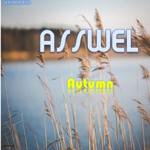 Asswel《Pizzi(Original Mix)》[MP3_LRC]