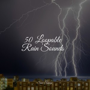 Especialistas de Musica para Dormir&Loopable Rain&Music to Relax in Free Time - Forest, Rain, Birds, Winter