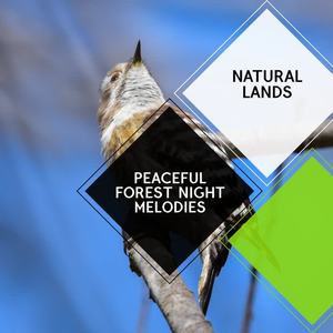 Pure Nature Mental Therapy Music - Mushy Bird Chorus