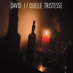 David J《Quelle Tristesse》[MP3_LRC]