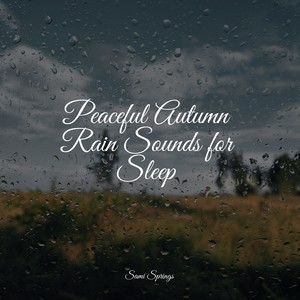 Ambiente&Zen&Big Sounds - Ocean Waves and Seagulls Overhead
