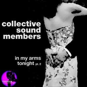 Collective Sound Members&Carl L.《In My Arms Tonight(Carl Louis Instrumental)》[MP3_LRC]