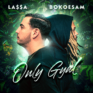 LA$$A&Bokoesam《Only Gyal》[MP3_LRC]