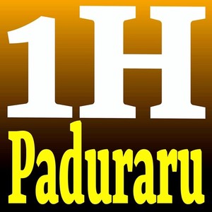 Paduraru《1H(Gym Mix)》[MP3_LRC]