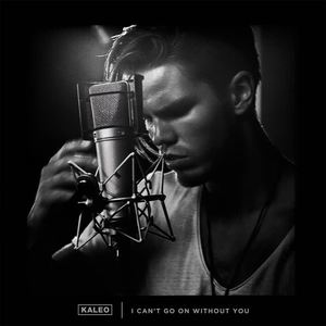 Kaleo《I Can't Go On Without You》[MP3_LRC]