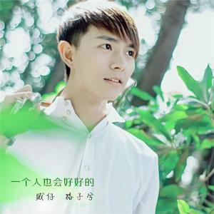 威仔&格子兮《一个人也会好好的》[MP3_LRC]