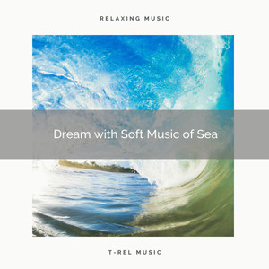 Soothing Ocean Sounds&101 Baltic Sea&Nature Touch - Dream with Soothing Music of Beach