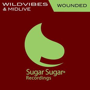 WildVibes&Midlive《Wounded》[MP3_LRC]