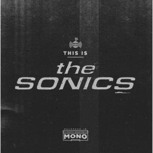 The Sonics《I Got Your Number》[MP3_LRC]