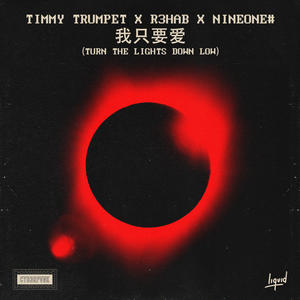 Timmy Trumpet&R3HAB&NINEONE #《我只要爱 (Turn The Lights Down Low)(慢速版)》[MP3_LRC]