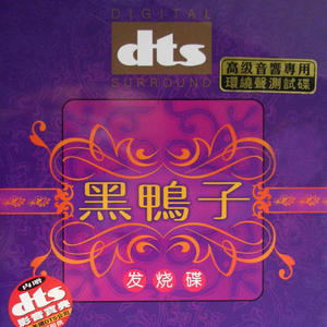 黑鸭子演唱组 - 九九艳南天