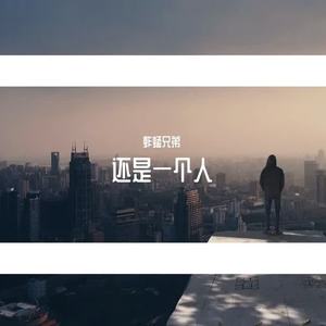 清唯《还是一个人》[MP3_LRC]