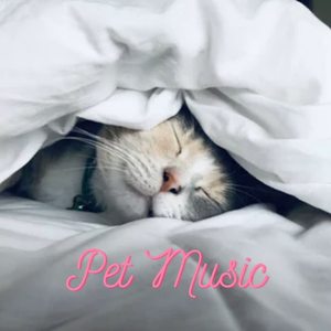 Pet Music - Catnip Drives Me Crazy