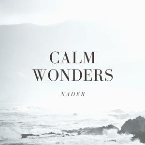 Nader《Calm Wonders》[MP3_LRC]