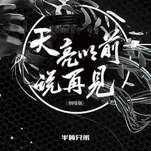 半吨兄弟 - 天亮以前说再见（烟嗓版）