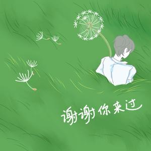 宋瑀哲 - 谢谢你来过