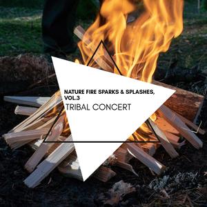 Fire Tone Nature Music Library - Blue Side of Mountain