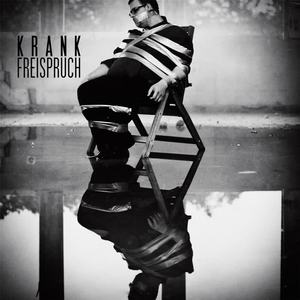 Krank - Die Absolution Des K.F. Schmidt