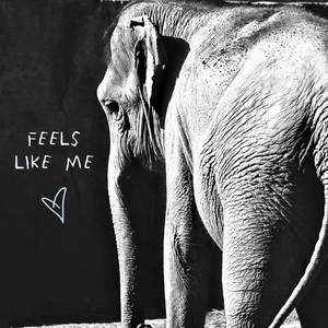 Gin Wigmore《Feels Like Me》[MP3_LRC]