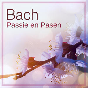 Nico van der Meel&Frans Brüggen&Jelle Draijer&Netherlands Chamber Choir&Orchestra Of The 18th Century《No.23  Evangelist, Pilatus, Chorus: " Die Juden aber schrieen und sprachen "》[MP3_LRC]