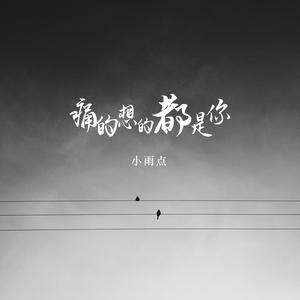 小雨点《痛的想的都是你(DJ版伴奏)》[MP3_LRC]