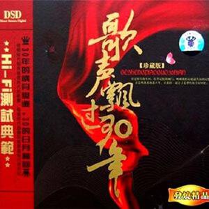 甘萍《大哥你好吗 - 歌声飘过 30年》[MP3_LRC]