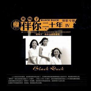 黑鸭子演唱组 - 花心